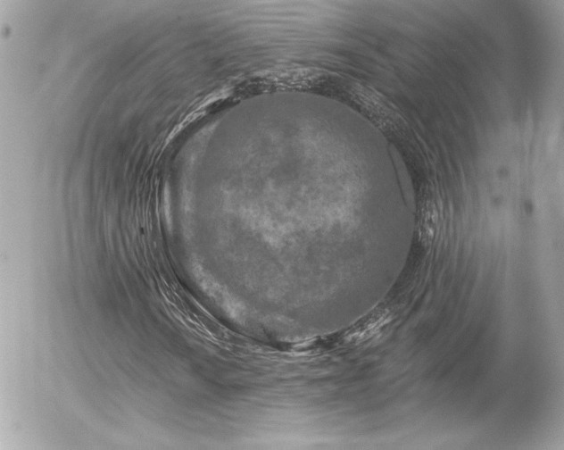 X0000056031010200508191346