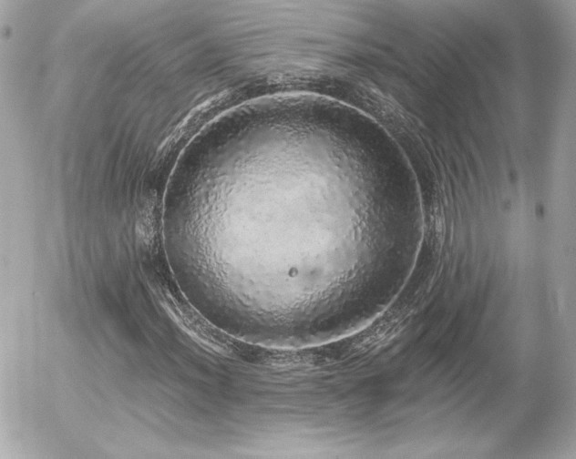 X0000056031012200508191346