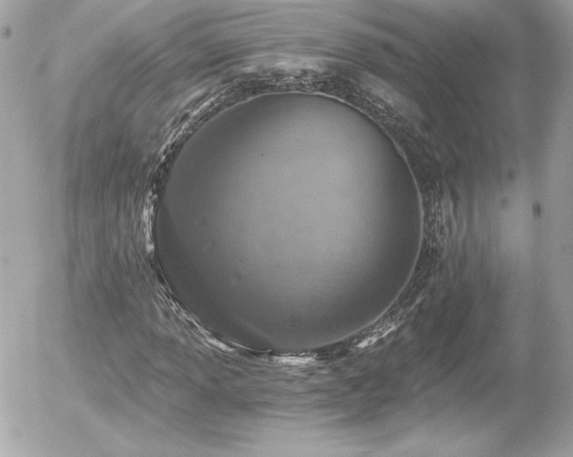 X0000056031013200508191346