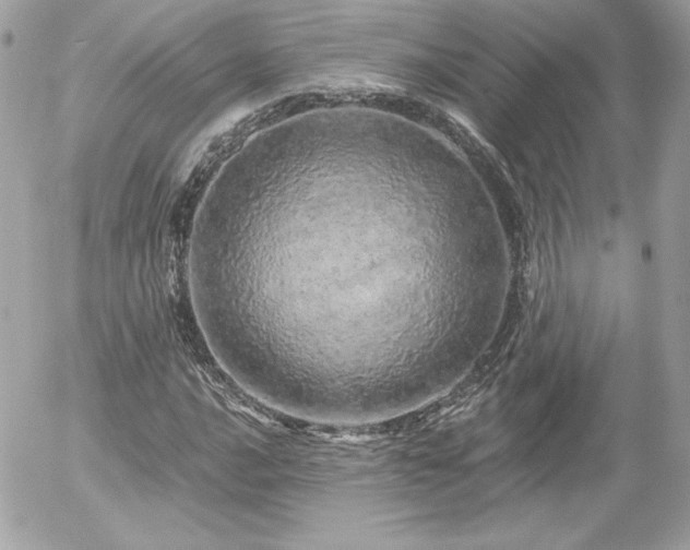 X0000056031016200508191346