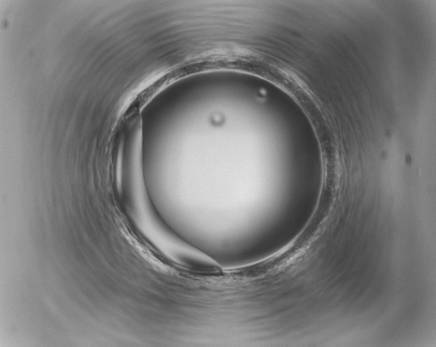X0000056031018200508191346