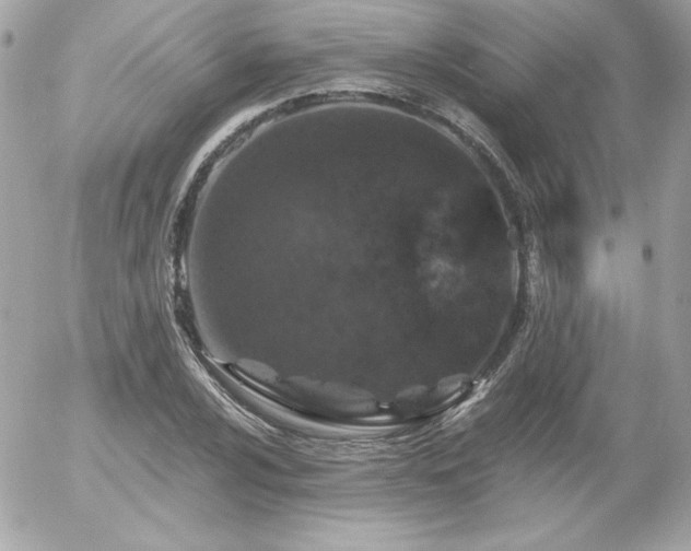 X0000056031024200508191346