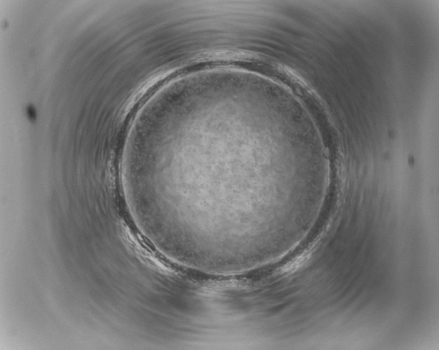 X0000056031025200508191347