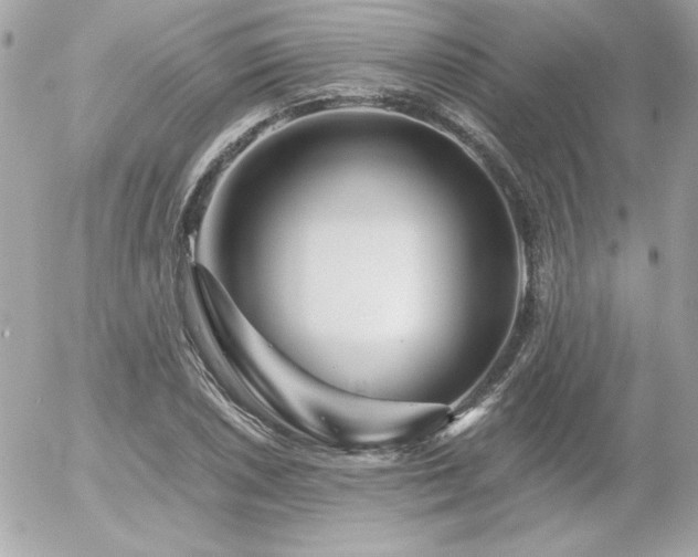 X0000056031026200508191347