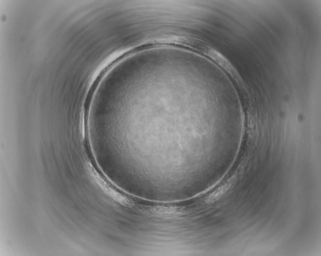 X0000056031036200508191347