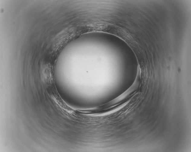 X0000056031058200508191346