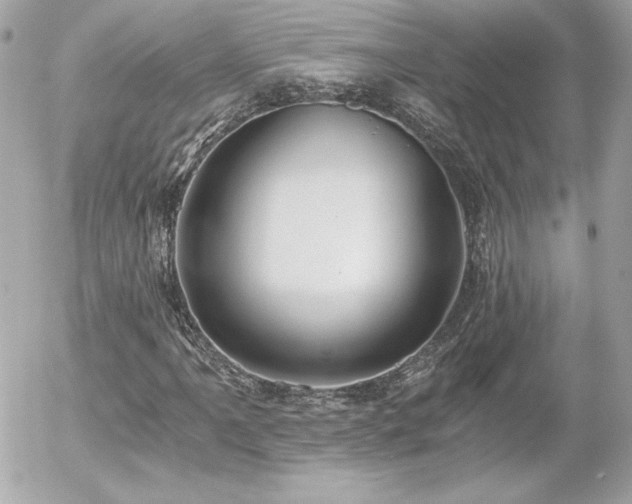 X0000056031061200508191346