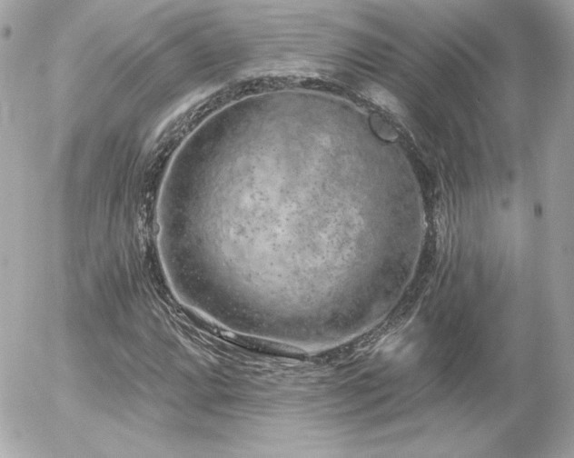 X0000056031064200508191346