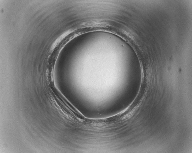 X0000056031066200508191346