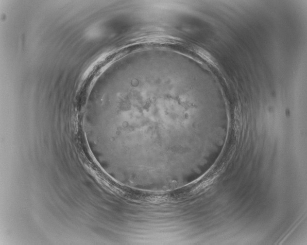 X0000056031067200508191346