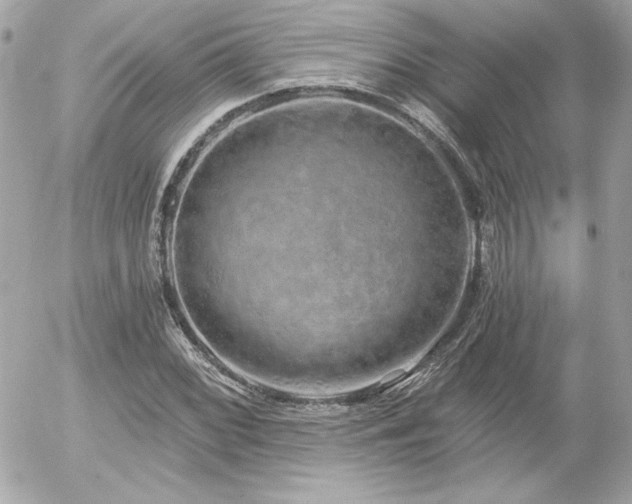 X0000056031068200508191346