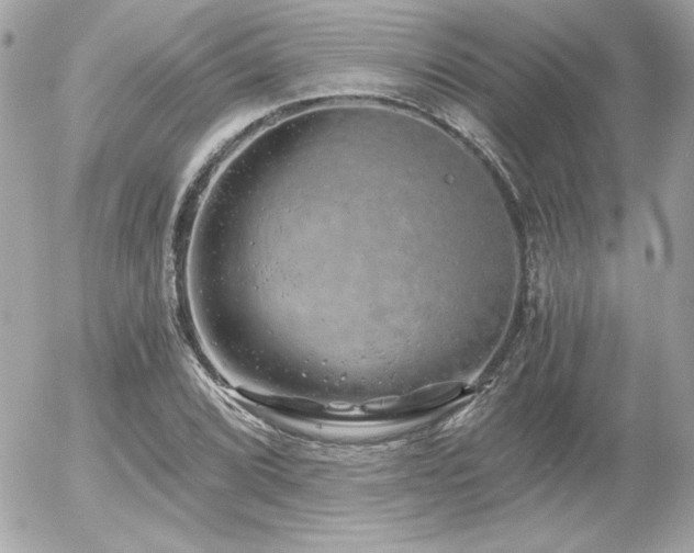 X0000056031072200508191346