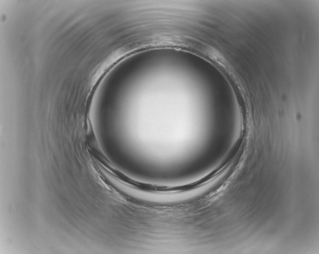 X0000056031089200508191346