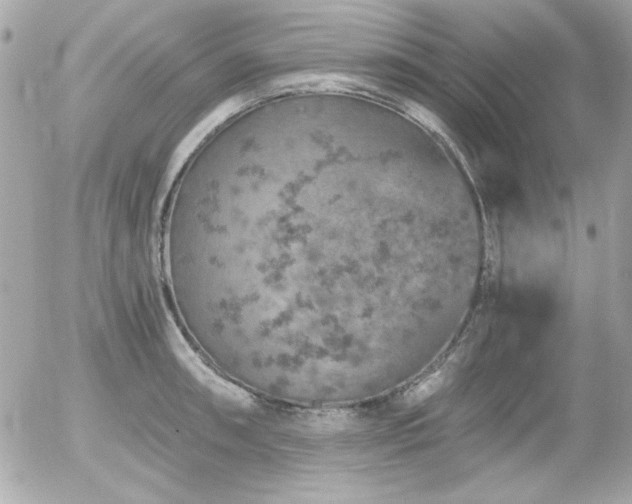 X0000056031090200508191346