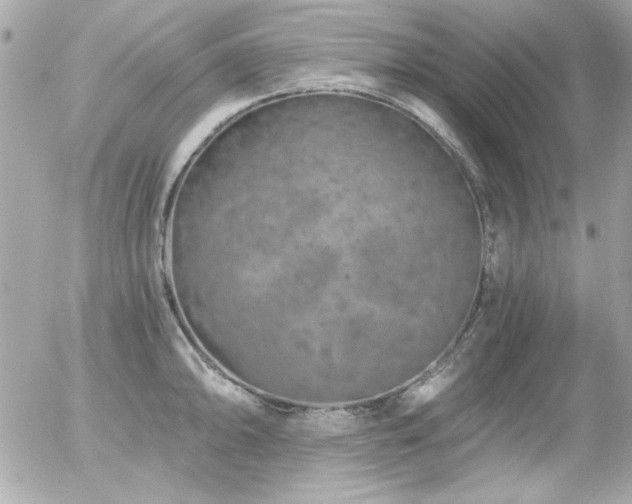 X0000056031094200508191346