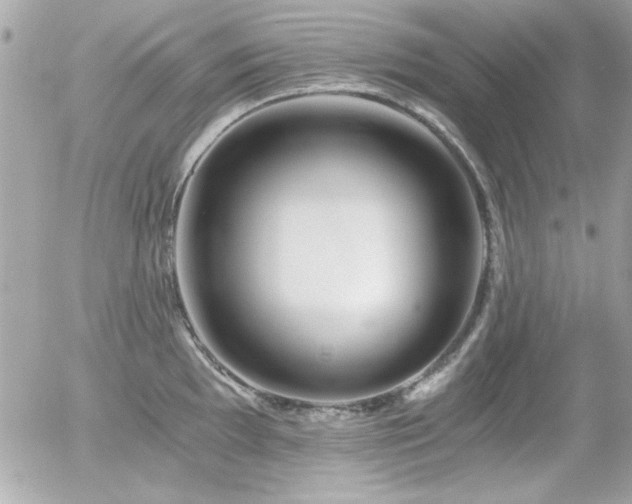 X0000056031097200508191346