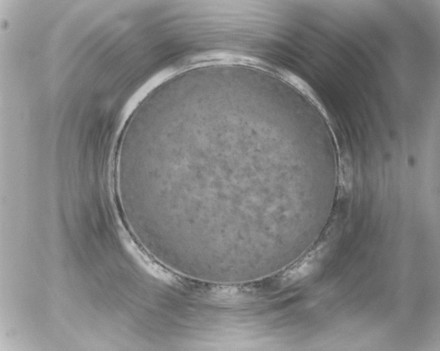 X0000056031098200508191346