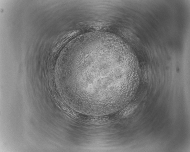 X0000056031105200508191345