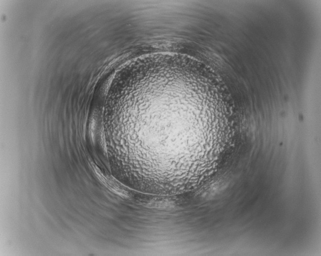 X0000056031106200508191345