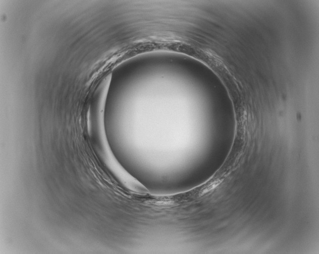 X0000056031110200508191345