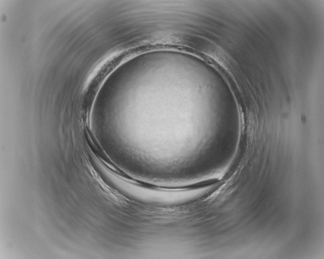 X0000056031115200508191345