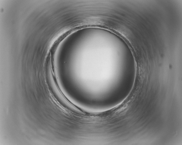 X0000056031119200508191345