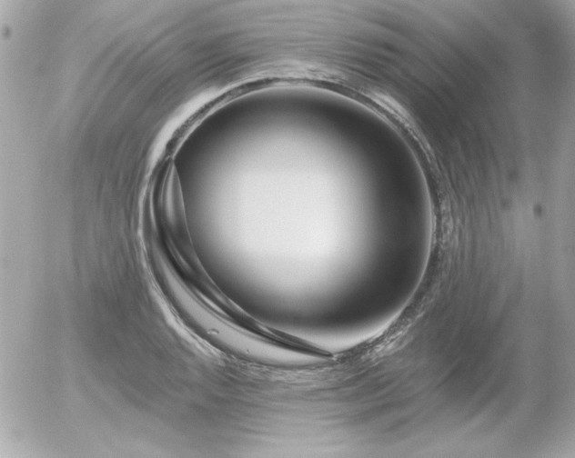 X0000056031128200508191345