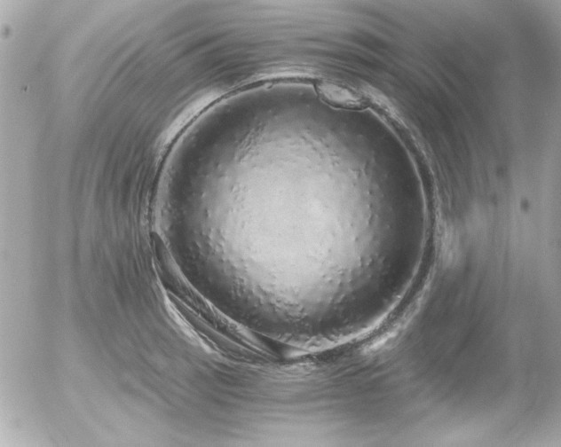 X0000056031137200508191345
