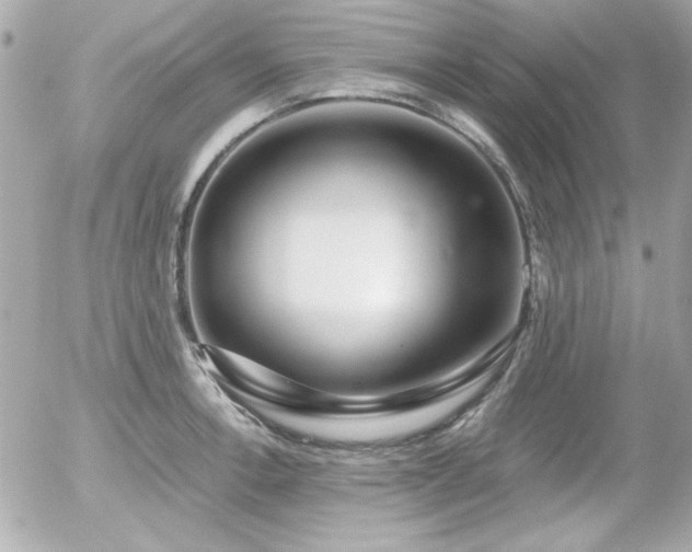 X0000056031138200508191345