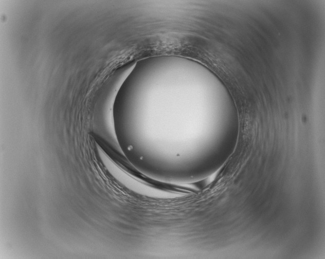 X0000056031153200508191345