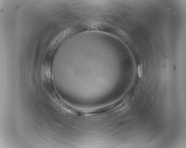 X0000056031155200508191345