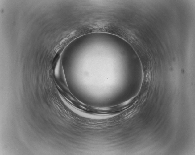 X0000056031156200508191345