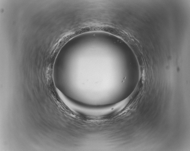 X0000056031157200508191345