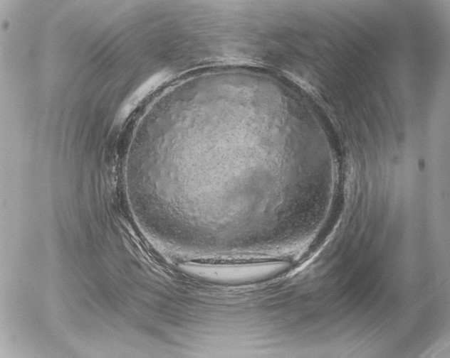 X0000056031163200508191344