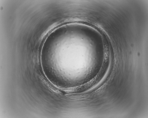 X0000056031173200508191344