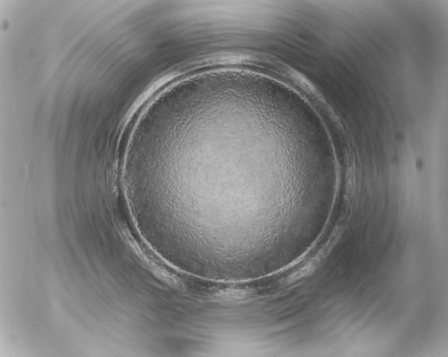 X0000056031178200508191344