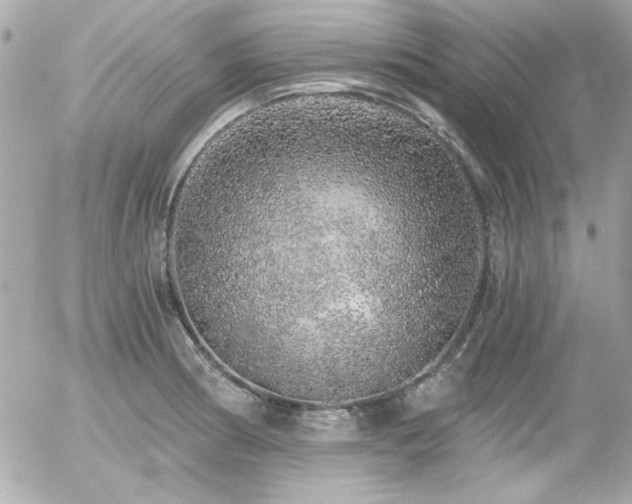 X0000056031186200508191344