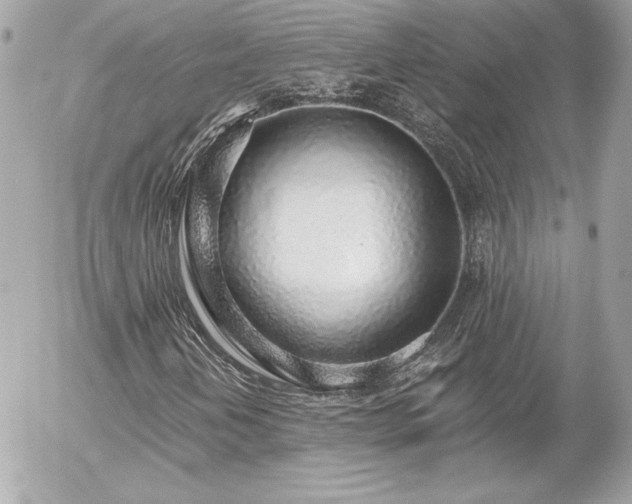 X0000056031202200508191343