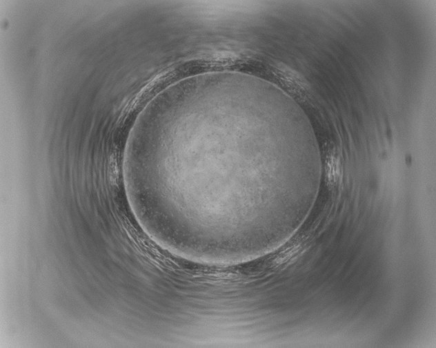 X0000056031204200508191343