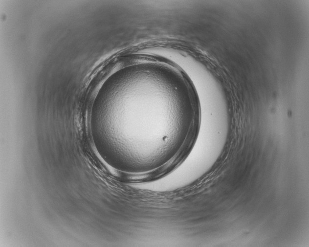 X0000056031206200508191343