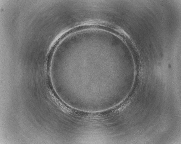 X0000056031216200508191343