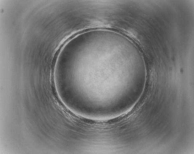X0000056031220200508191343