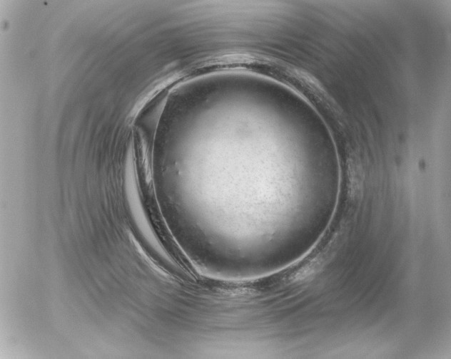 X0000056031225200508191343