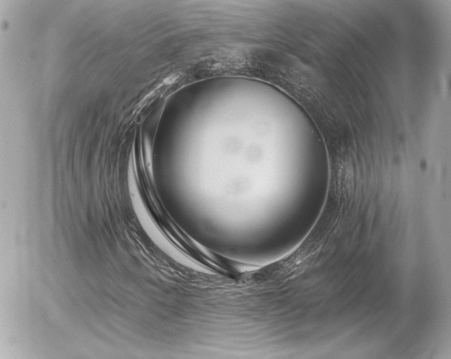 X0000056031250200508191343