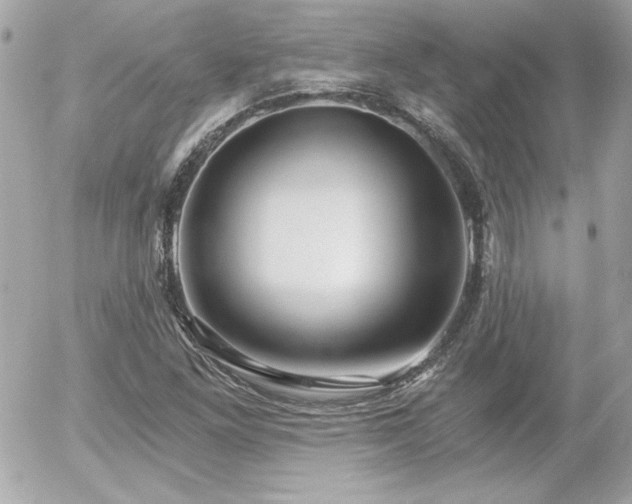 X0000056031261200508191343