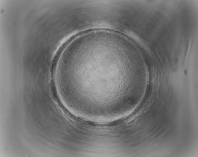 X0000056031264200508191343