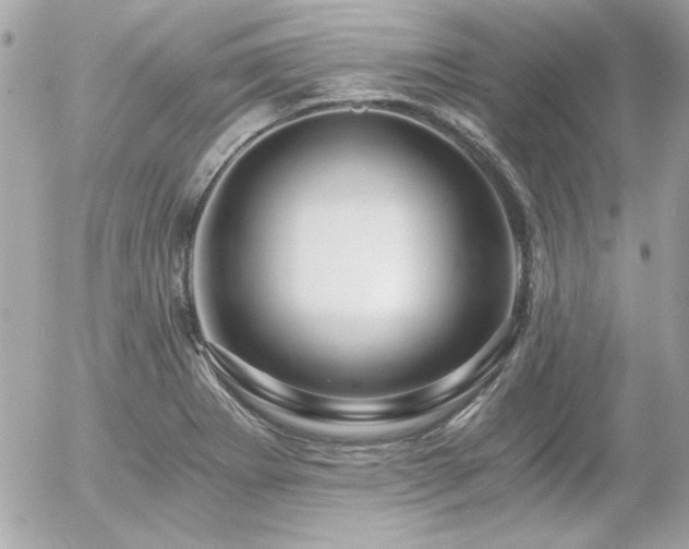 X0000056031273200508191343