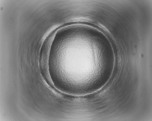 X0000056031277200508191343
