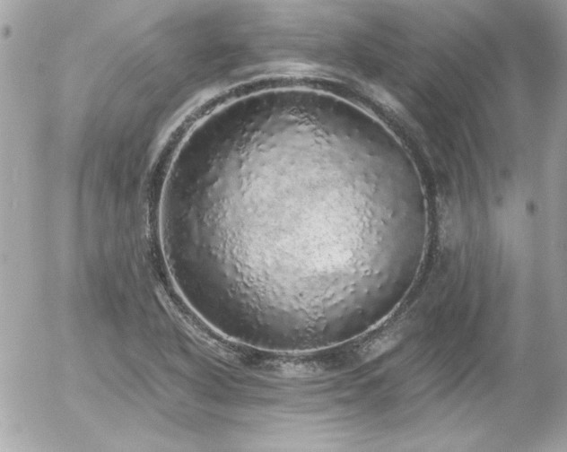 X0000056031318200508191342