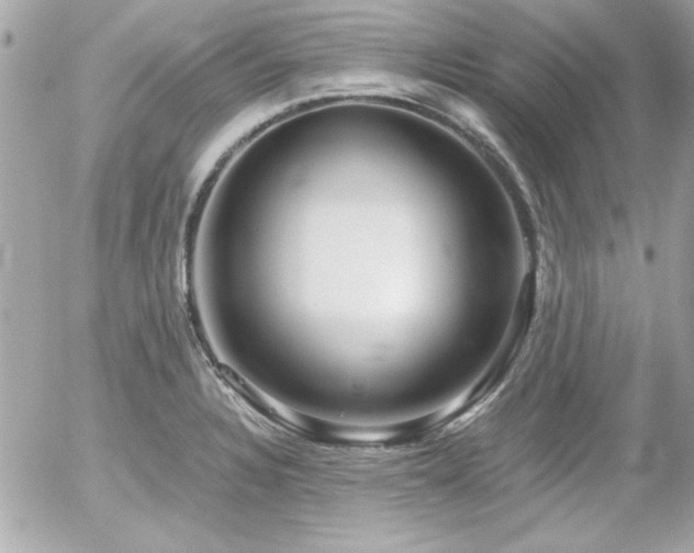 X0000056031328200508191342